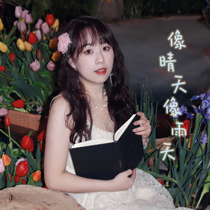 塔斯马尼亚的雨季