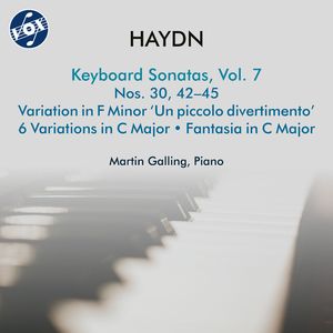 Keyboard Sonata No. 30 in D Major, Hob.XVI:19: II. Andante