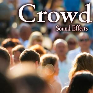 Busy Pub or Bar with Active Voices and Glass Noise