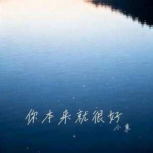 你本来就很好 (Cover 李发发)