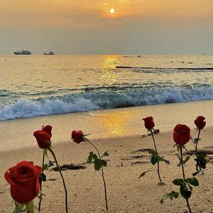 I don't wanna see u anymore（Slowed）