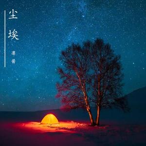 尘埃