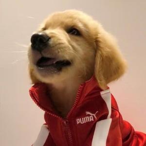 恋是爱的呕吐物