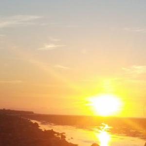 只因你太美5分钟纯享版