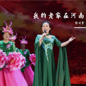 我的老家在河南