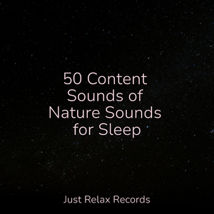 Mossy Memory Marshlands