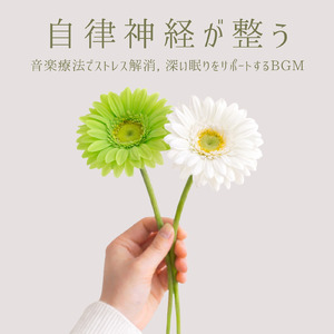 ヒーリング - 脳疲労を回復させる静寂のソルフェジオ