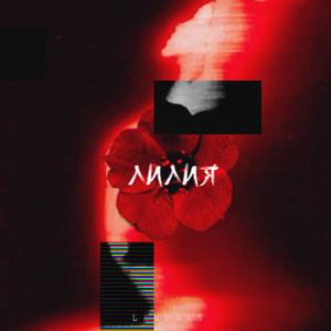 Лилия