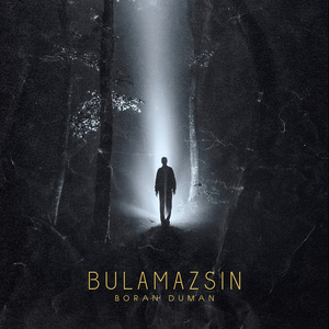 Bulamazsın