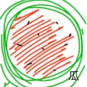 watermelon watermelon