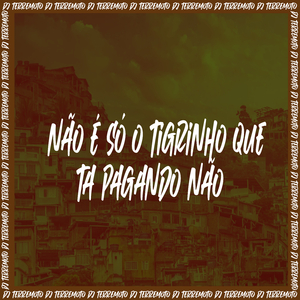 Não é Só o Tigrinho Que Ta Pagando Não