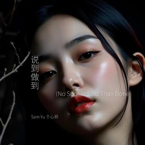 说到做到 (No Sooner Said Than Done)