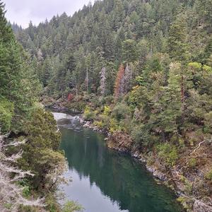 Brother (Mitch's Song)