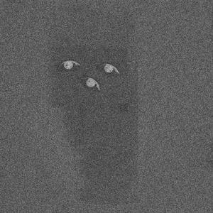 there is no one home