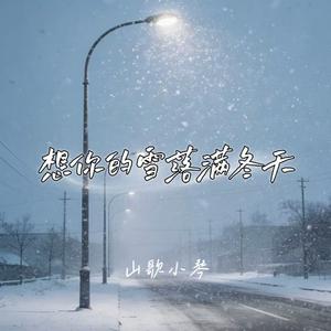 想你的雪落满冬天