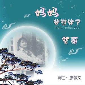 妈妈我想你了
