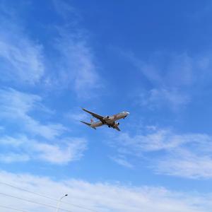 내버려둬 (Leave me alone)（翻自 龙国）