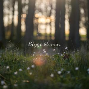 Blyge Blomar