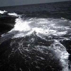 本章DJ舞曲由林子北为陌北明专属打造