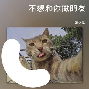 不想做朋友（翻自 韦星弟）