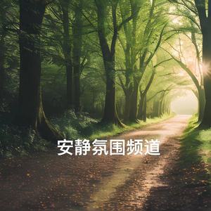 湖边倒影 (古筝曲)