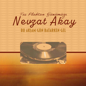 Bu Akşam Gün Batarken Gel