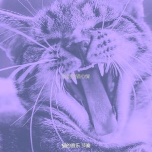 微妙的压力大的猫心情