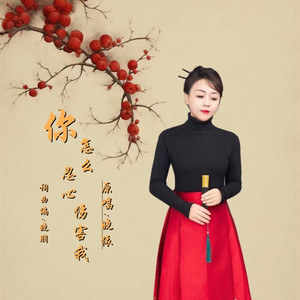 你怎么忍心伤害我DJ (女版)