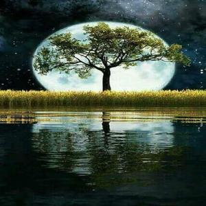 PERSPECTIVE AND MAJOR CONTRIBUTIONS CREATE