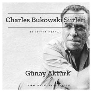 Cinsellik ve Kadınlar Üzerine (Charles Bukowski)