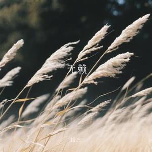无赖(Cover 郑中基)