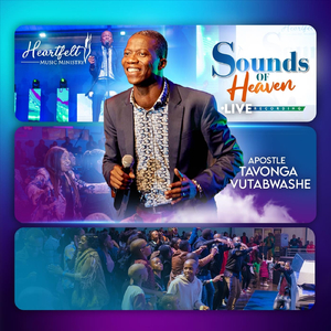 Ndaona Waita Mari (Live) [feat. Ronald Ngulube & Heartfelt Music Ministry]