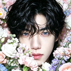 我路过你的花期 你错过我的四季