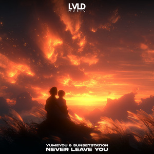 Never Leave You