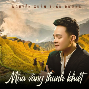Mùa Vàng Thanh Khiết