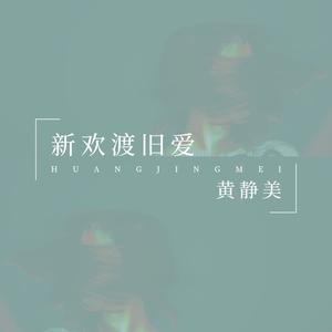 新欢渡旧爱 (伴奏)