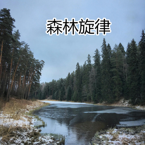 森林旋律