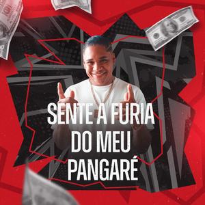 SENTE A FURIA DO MEU PANGARÉ (feat. mc kaelzinho 01)