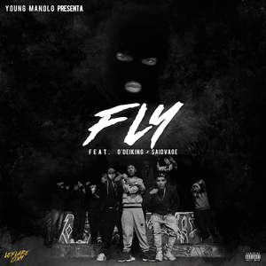 Fly
