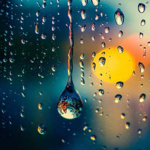 Bonheur (Rain)