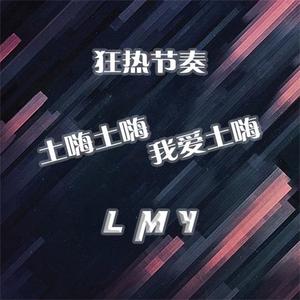LMY-土嗨土嗨 我爱土嗨（LMY remix）