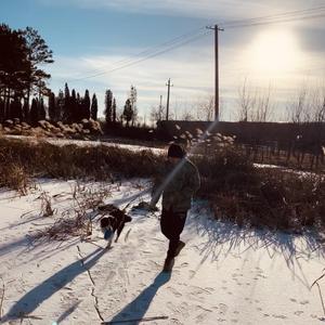 石榴想高傲的活着