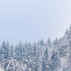 하얀 눈이 내려올때면