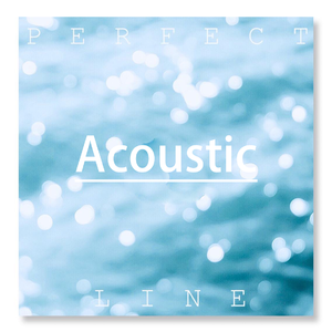 Perfect Line (Acoustic)