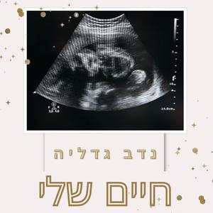 חיים שלי | my life