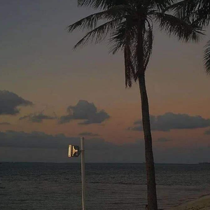 我是真的喜欢你