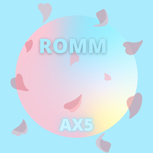 Romm