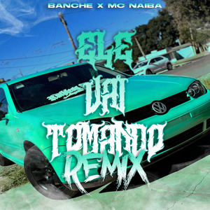 ELE VAI TOMANDO (Remix)