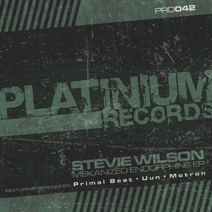 Mekanized Endorphins (Original Mix)