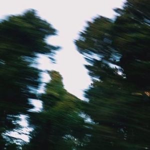 迷星叫：ɯɐʎoᴉnʇɐ//